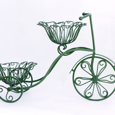 Bicicleta Verde de Ferro
